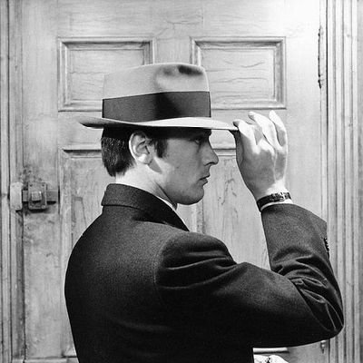 concussed_man's profile picture. Fallibilist, Raconteur, Bon viveur, 
Test cricket ❤