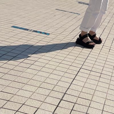 ささみ@固ツイ必読