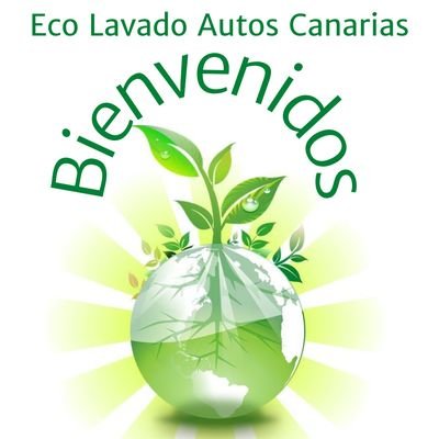 Lavado a mano, con productos ecológicos, adecuados para su vehículo, tanto exterior como interior. 
Cañón de ozono para desinfección de su habitáculo. 633590862