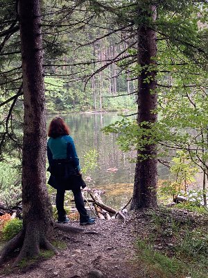 M_Nienna's profile picture. book sniffer
90% introvert & 10% caffeine