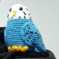 Un cliente más del RCDE 🐦 (@blancblau) 's Twitter Profile