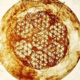 CodeHelixGrafic's profile picture. Regarde la Lumière. Admire sa Beauté. Ferme l'Oeil. Observe.
Ce que tu as vu n'est plus. Et ce que tu verras n'est pas encore.

#DésobéissanceCivile    hssathqi