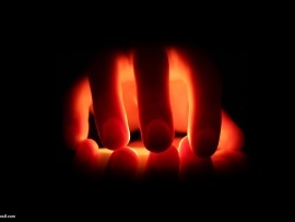 Witty_Money's profile picture. Have you reached financial freedom and know some efficient tips? Headache or pressure because of money? Take a deep breath and let's talk about it.