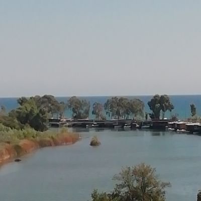 KubilayCTN100's profile picture. 