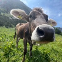 Jerg Theurer (@jerg_theurer) 's Twitter Profile