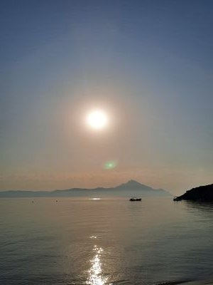 Tikitakas1's profile picture. 