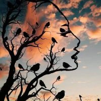 ADELANI (@ayindetemmy) 's Twitter Profile