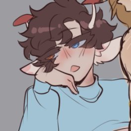 18+ ONLY
PTWT, SFW, CCS, DNI
they/she
dt/eam main