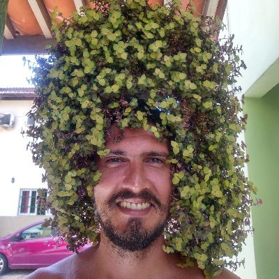 brasiliano. não assino receita. retuítes aleatórios #rstats #killbozo. batuquei em https://t.co/T6AEM7sLsw