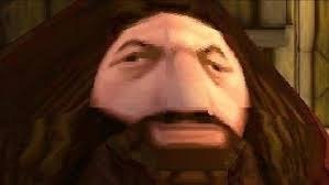 haaltop's profile picture. Programming interests me