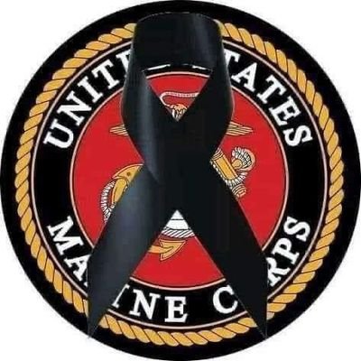 sandra_scheil's profile picture.