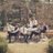 ive7smeraldos's profile image