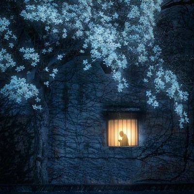 rooh_afza2's profile picture. inactive