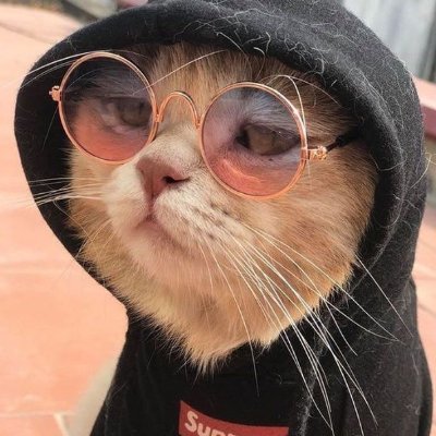 cat lover, giveaway lover, game lover, girl lover xD
#CSGO