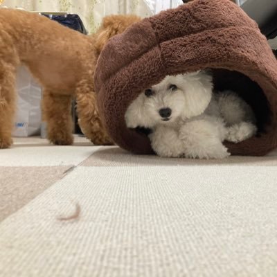 あみぃさんのプロフィール画像