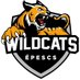 PE_SaugeenCentralWildcats (@pesaugeencentr1) Twitter profile photo PE_SaugeenCentralWildcats (@pesaugeencentr1) Twitter profile photo