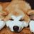 Tそうのアイコン