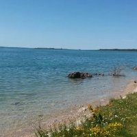 Susan (@tipsy2uner) 's Twitter Profile