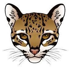 OESKinder108's profile picture. Olmito Kinder