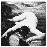 @fendrelair.bsky.social (@fendrelair) 's Twitter Profile Photo