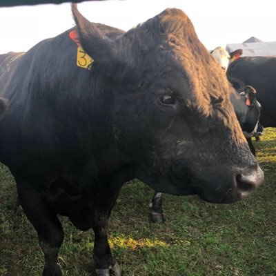 5th generation farmer - West Central IL. Bears & Cubs