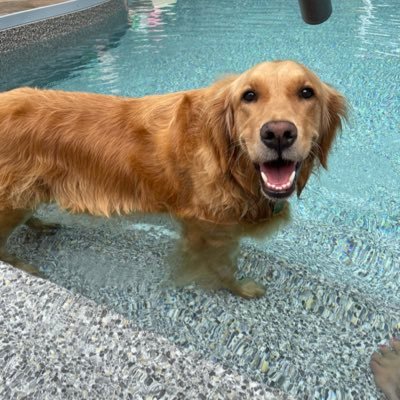 I’m a dog that loves chasing 🎾 tennis balls and competing in sports betting. Follow me to see how my picks hold up. 💰