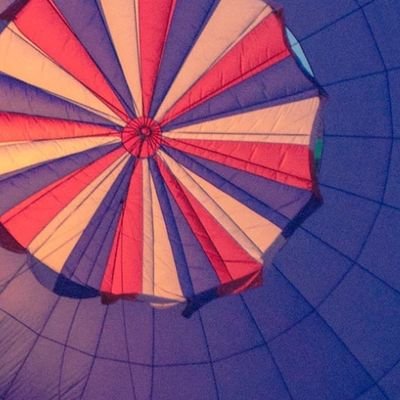 teatree180717's profile picture. 