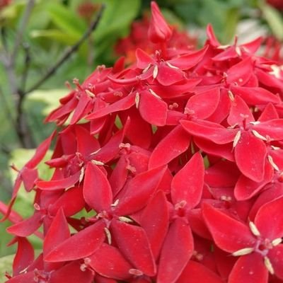 JaydeepMalvania's profile picture. Being in touch with the earth is a reminder that your body is just that – earth. Never forget this...🖊️🖊️🖊️