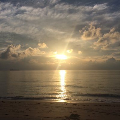 john081268's profile picture. 