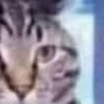 Scumocide4Real's profile picture. 