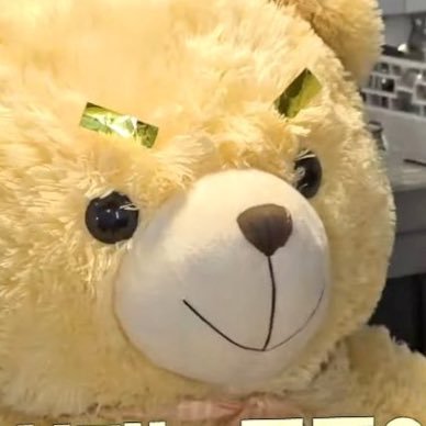 0828GNCD's profile picture. 