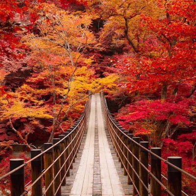 Mom, Grandma, Wife, Democracy, Unions, Freedom, Liberty and Justice for ALL
@ghosts7278.bsky.social
🚫Lists🚫DM
💚🌈🕊🐶🐱👻🎵🧩 🌎🌲
#StayWoke