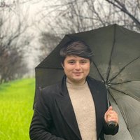 Muhammad Afzal Khan (@datakhan3) 's Twitter Profile