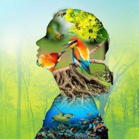 Diversity Of Nature (@diversityofnat2) 's Twitter Profile