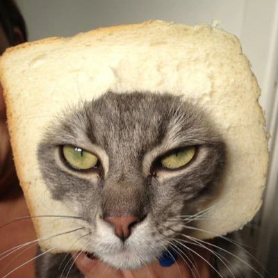 GFCapPartners's profile picture. I interned at a hedge fund once.