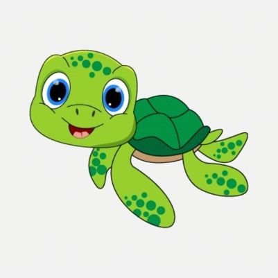 Twitter account for Miss Wilson and The Turtles of Fairfield Primary School, Widnes