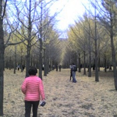 annamarypetrar's profile image