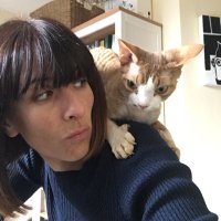 Lucy Banks (@lucybanksbooks) 's Twitter Profile