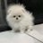 iiiq1103's profile image