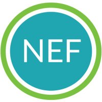 NEF(@NEF203) 's Twitter Profile Photo