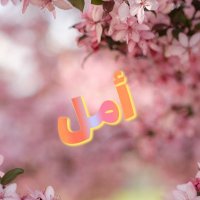 أمل سراج (@amal_seraj) 's Twitter Profile
