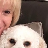 Violet Anne 🇬🇧🇪🇺 (@violetanne22) 's Twitter Profile Photo Violet Anne 🇬🇧🇪🇺 (@violetanne22) 's Twitter Profile Photo