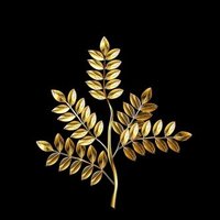 Ti Bolyn (@tibolyn) 's Twitter Profile Photo Ti Bolyn (@tibolyn) 's Twitter Profile Photo