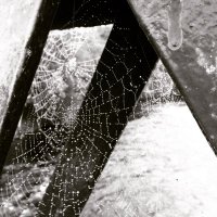 Emotionally Demanding Research Network Scotland (@emotionalresrch) 's Twitter Profile Photo Emotionally Demanding Research Network Scotland (@emotionalresrch) 's Twitter Profile Photo
