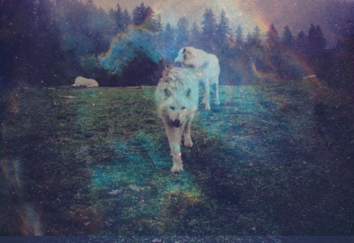 upchuckk's profile picture. the only way to get rid of a temptation is to yield to it. Resist it, and your soul grows sick with longing for the things it has forbidden to itself.