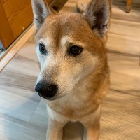 N8HI (@n8hi2) 's Twitter Profile