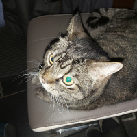 Michael Dittmann (@michael60446001) Twitter profile photo