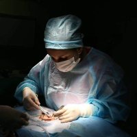 Daily of surgeon(@dailyofsurgeon) 's Twitter Profile Photo