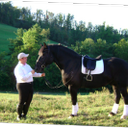 Gregory Lauer - @DressageRider81 - Twitter