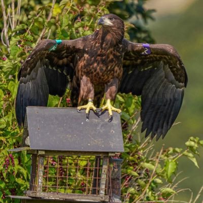 Passionate Photographer with a love for all animals. If like me you love wildlife please follow my page to check out my photos 📸